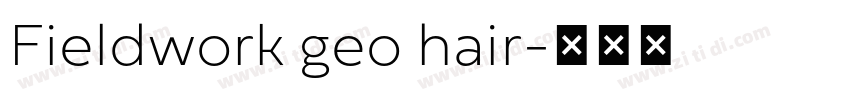 Fieldwork geo hair字体转换